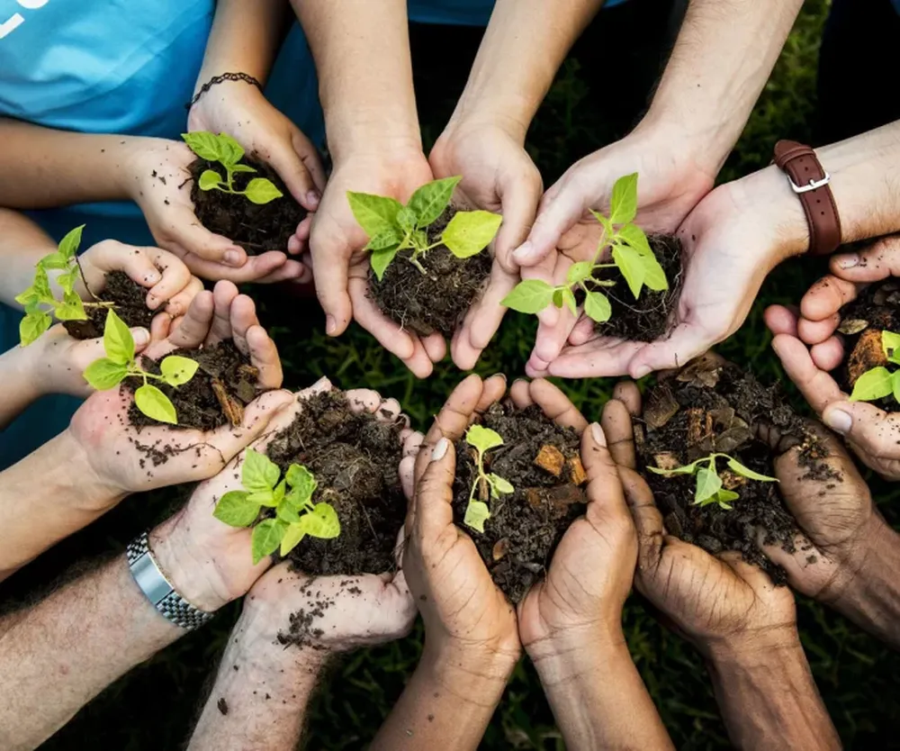 Diplomado en gestión de triples impactos