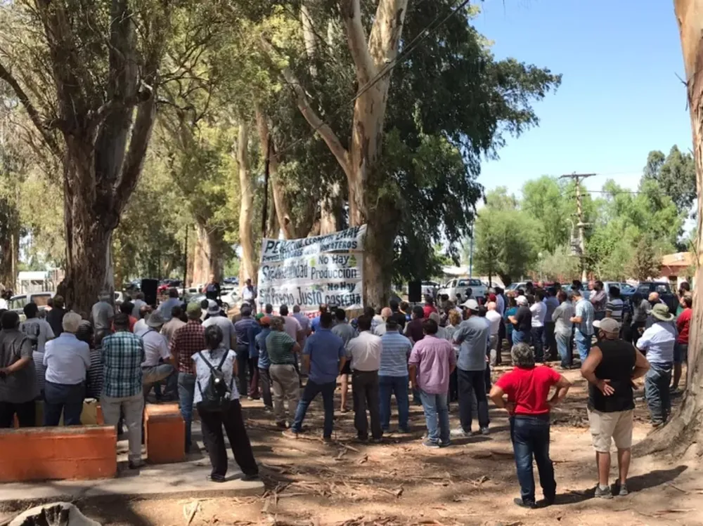 Los viñateros están en estado de alerta y movilización