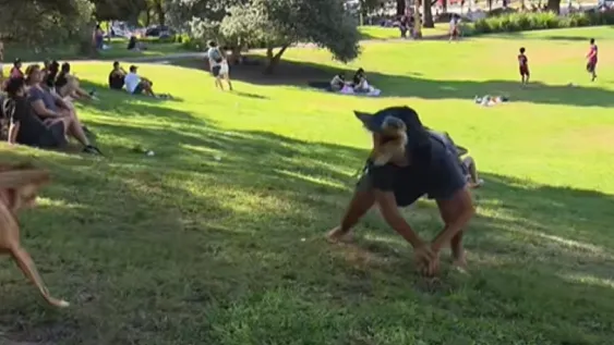 Un “therian” fue a una veterinaria a atenderse porque tenía “moquillo”