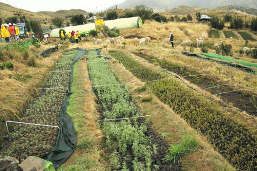 1- ¿La minería le quita agua al agro?