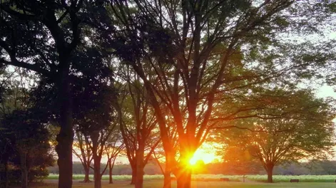 Diario de Cuyo | sunset 2334074_1920_crop1615329578804 728x548.webp