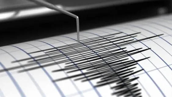 Un temblor registrado en Mendoza movió la madrugada sanjuanina