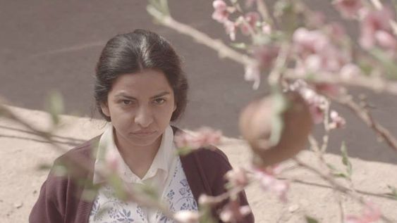 Proyecciones itinerantes