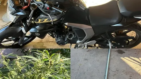 Cayó con 27 plantas de marihuana, una moto robada y hasta una pilastra de alumbrado público