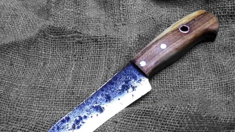 La detuvieron por atacar con un cuchillo de carnicero a su pareja
