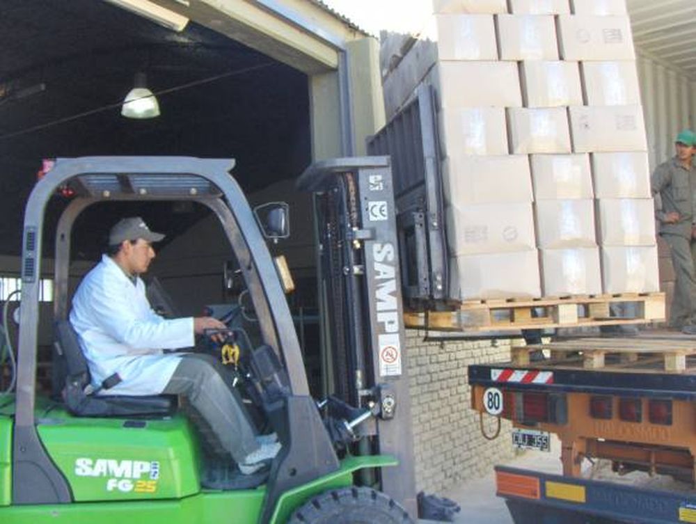 Las exportaciones sanjuaninas caen un 5,5% promedio anual