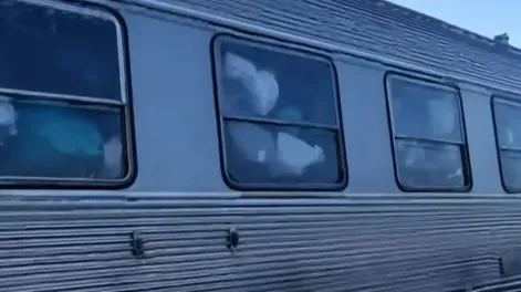 Llegó el tren solidario a Bahía Blanca con miles de toneladas de donaciones