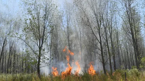 Emergencia ígnea para todo el país