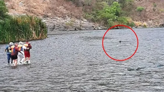 Las imágenes del helicóptero tras el fatal accidente de Jorge Brito