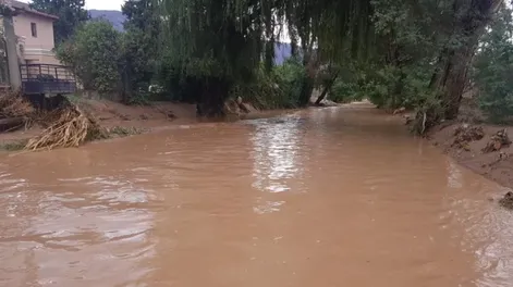 Cuantiosas pérdidas económicas causaron las lluvias continuas