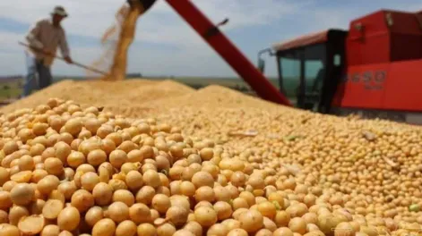 GOLPE. A partir del 1 de julio la soja vuelve a tributar 33% de retenciones.