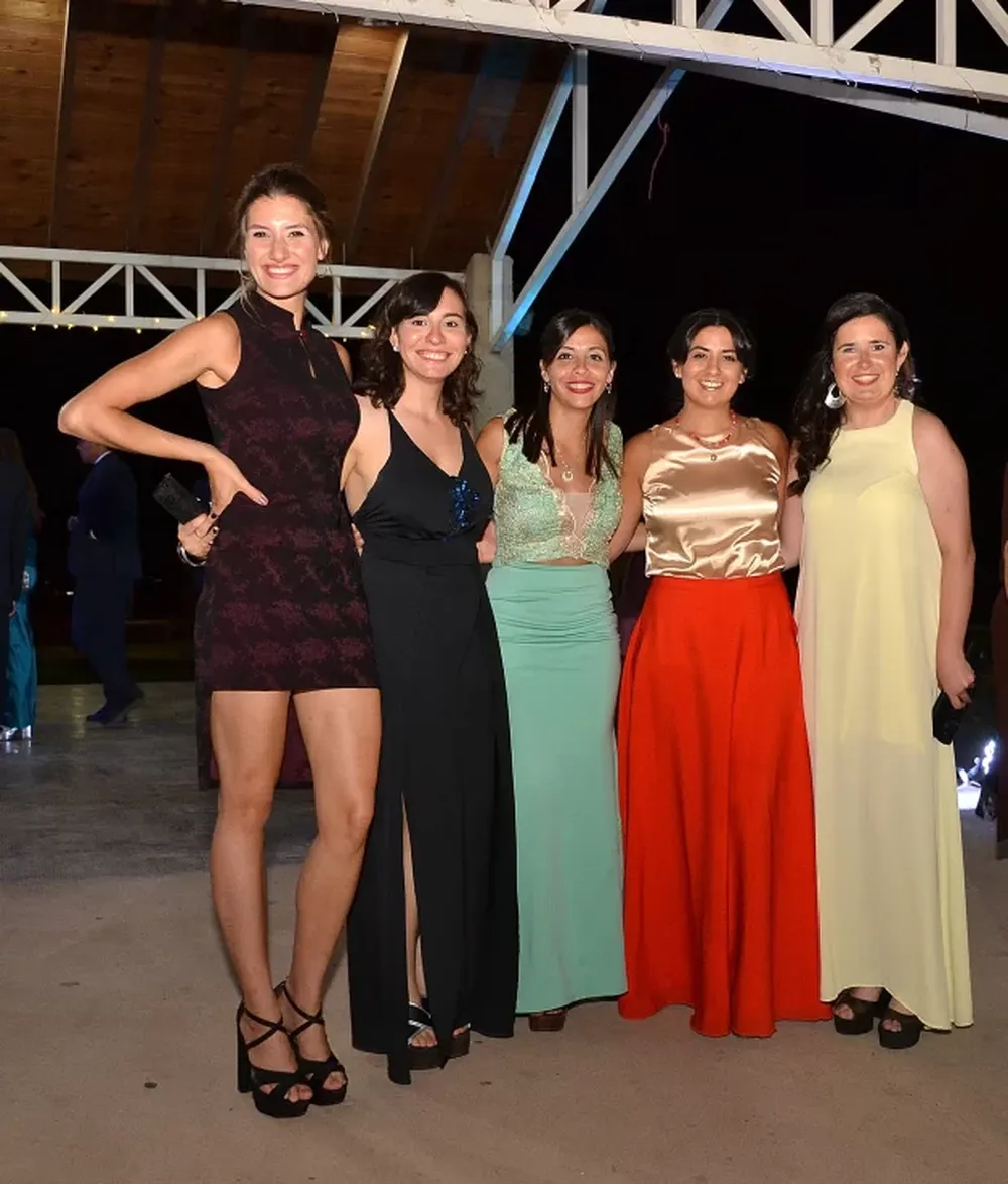 Enlace Videla – Banegas