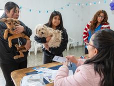 Rawson lanza un nuevo programa de servicios itinerante que incluye desde vacunación para mascotas hasta venta de gas más barato. Rawson lanza un nuevo programa de servicios itinerante que incluye desde vacunación para mascotas hasta venta de gas más barato.