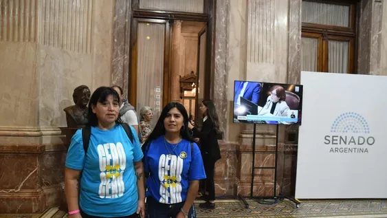 El Senado, por amplia mayoría, convirtió en ley el alcohol cero