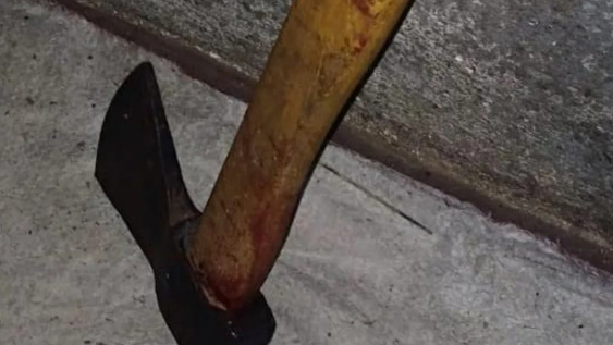 Robaban y faenaban terneros: tenían cuchillos, un hacha y hasta un arma