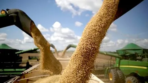La respuesta de la agroexportación es clave: a qué precio esperan que abra el dólar este lunes