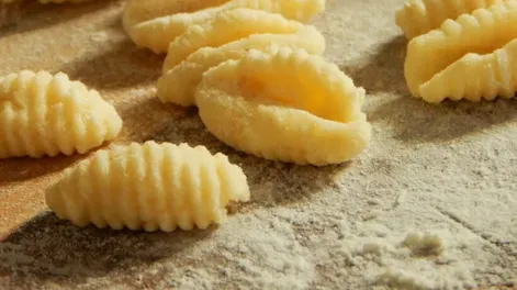 Diario de Cuyo | xoquis 582x728.webp