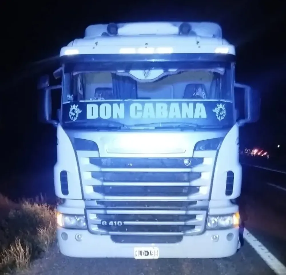 El camión retenido por la policía mendocina.