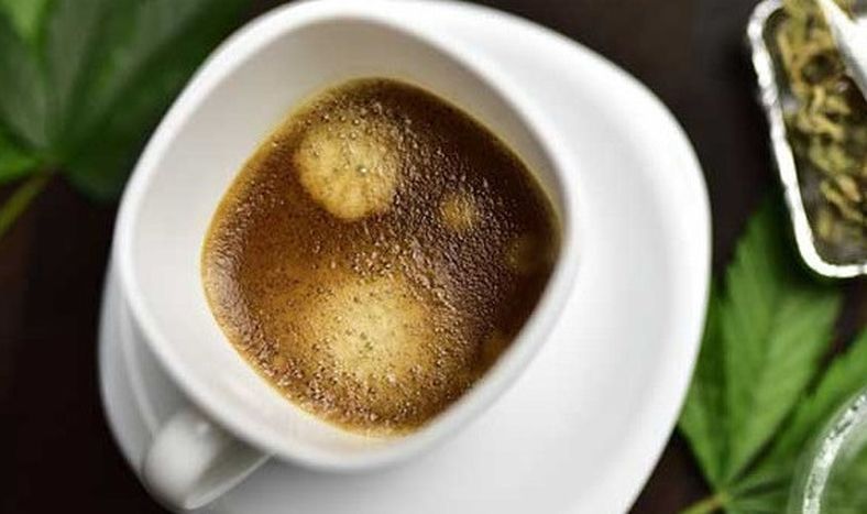 Insólito: les convidó café con marihuana a sus compañeros y cinco terminaron intoxicados