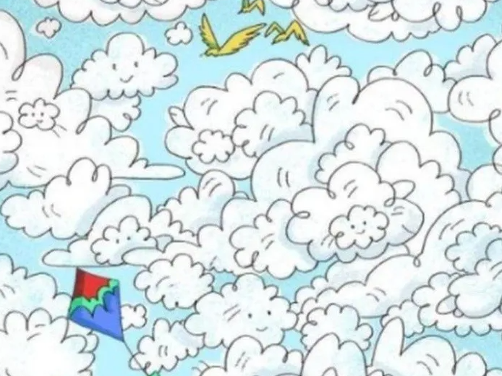 El desafío de encontrar una oveja en medio de las nubes: tenés sólo 10 segundos