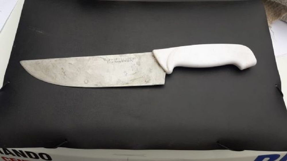 Golpeó a su pareja y amenazó con un cuchillo de carnicero a policías que lo detuvieron