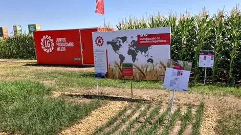 Investigación y biotecnologías con impacto en el agro local