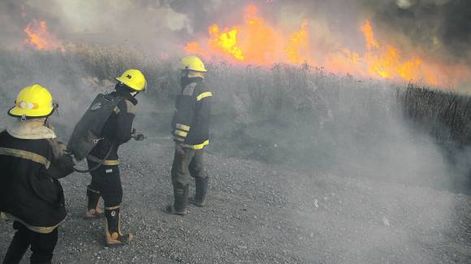 Zonda: hubo incendios  en cinco departamentos