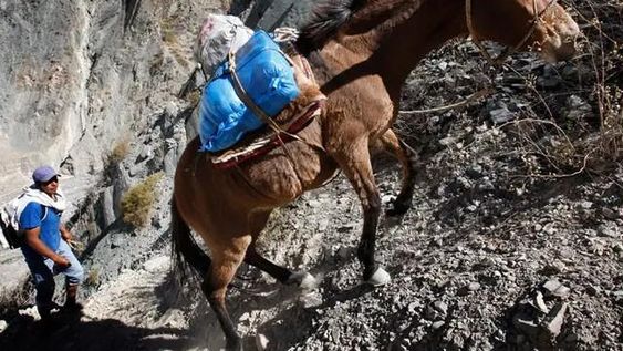 Lugares con menor cantidad de votantes