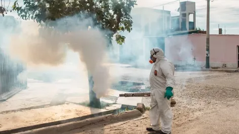 Operativos contra el dengue en Rawson