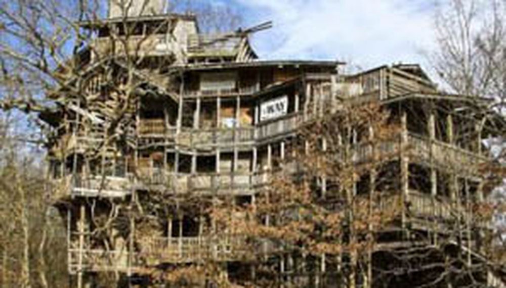 La “casita” del árbol