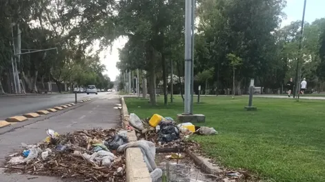 Una montaña de residuos en acequias del Parque