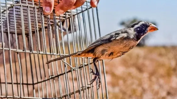 Que nadie olvide que son libres