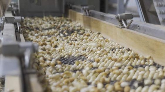 El sistema de dólar agro sólo incluye a 8 productos exportables en San Juan