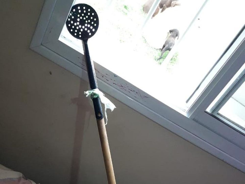 Con 15 años, usó un espumador y un palo para robar un celular por la ventana de una vivienda