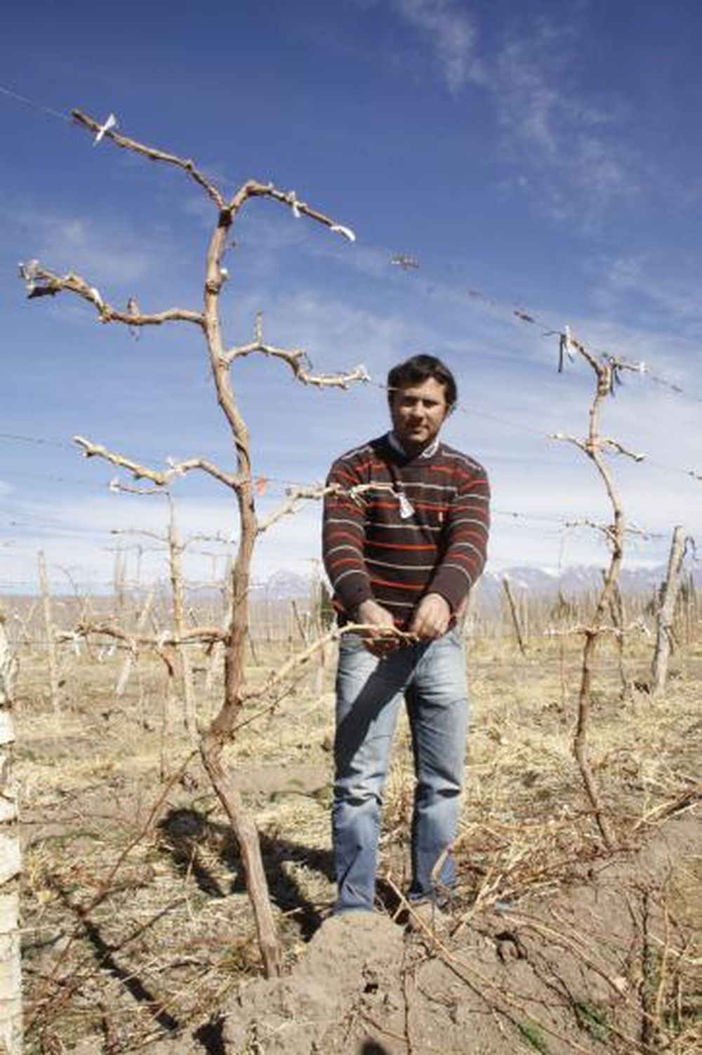 Vinos de altura: San Juan, cuarto en el mapa mundial