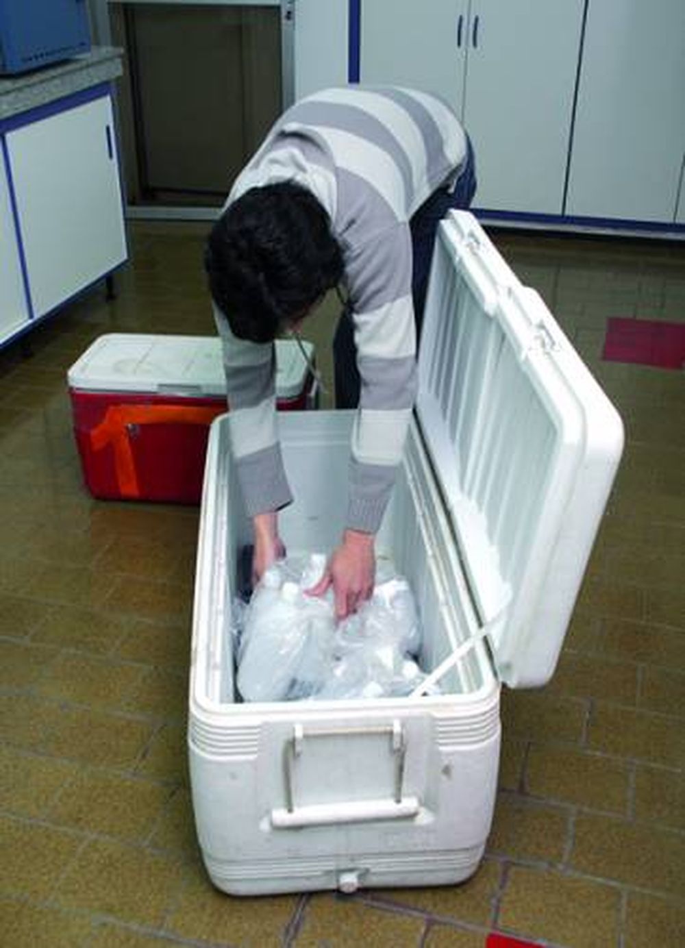 Del laboratorio a la comunidad