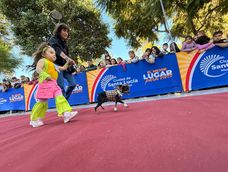 Unas 300 mascotas participaron del desfile que organizó el municipio de Santa Lucía para celebrar el Día del Animal. Unas 300 mascotas participaron del desfile que organizó el municipio de Santa Lucía para celebrar el Día del Animal.