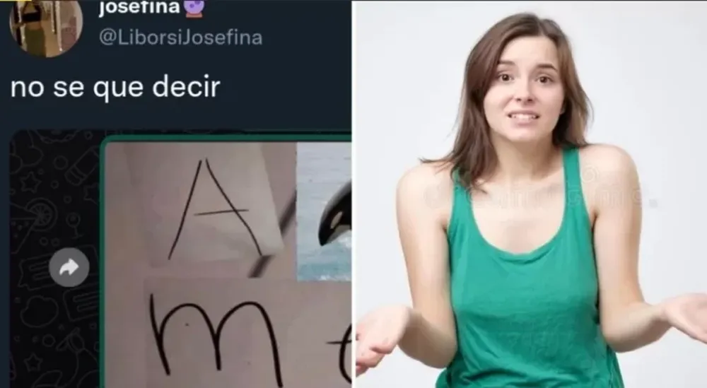 Una chica mandó un meme sexual, pero el joven no lo entendió y su respuesta es furor en las redes
