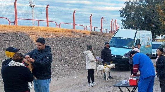 Perros: más denuncias de peligro, pero menos conciencia de tenencia
