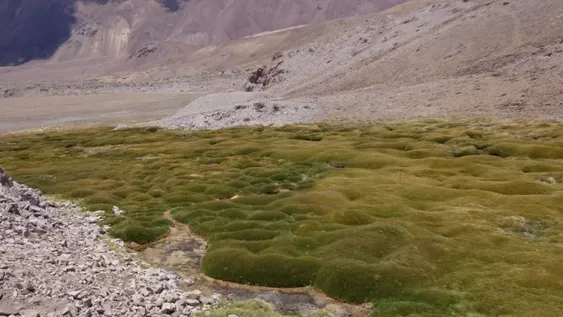 Toma impulso proyecto de humedales que inquieta al Gobierno y empresarios