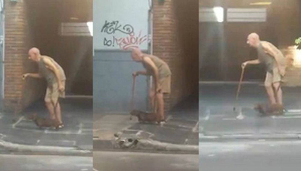 Juntos a la par: el lento caminar de un abuelo y su perro