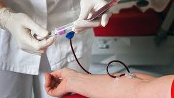 Más de 30 casos de cáncer de la sangre por día en Argentina