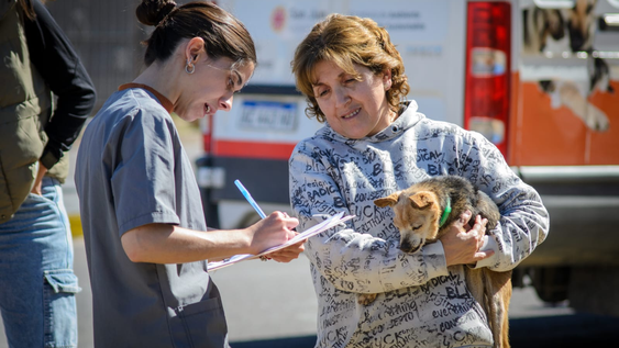 tenencia responsable de mascotas, en numeros: en los ultimos dos anos se esterilizaron casi 8.000 perros y gatos y hubo mas de 1.000 denuncias por maltrato