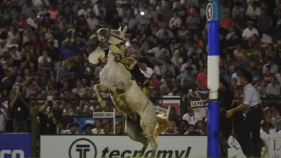 Jesús María: un jinete sanjuanino se enredó en el estribo y casi fue aplastado por el caballo