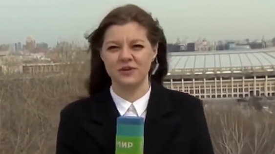 Un perro le robó el micrófono en vivo a una periodista y todo terminó en corridas