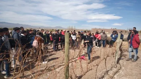 Capacitación en poda de vides, en el departamento de Iglesia