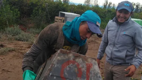 Se profundiza el conflicto por obligación de las contribuciones de las bodegas a Coviar