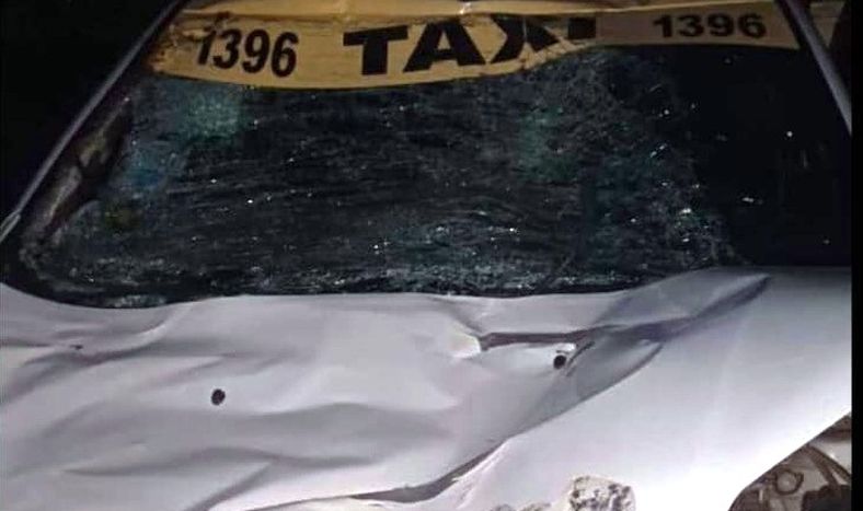 Un taxista chocó contra un caballo en la ruta a Calingasta