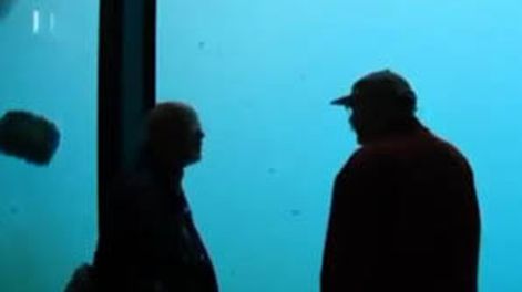 Pánico en un zoológico