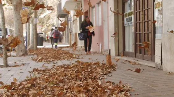 Tres sujetos robaron $400 mil en un violento asalto: uno iba vestido de policía